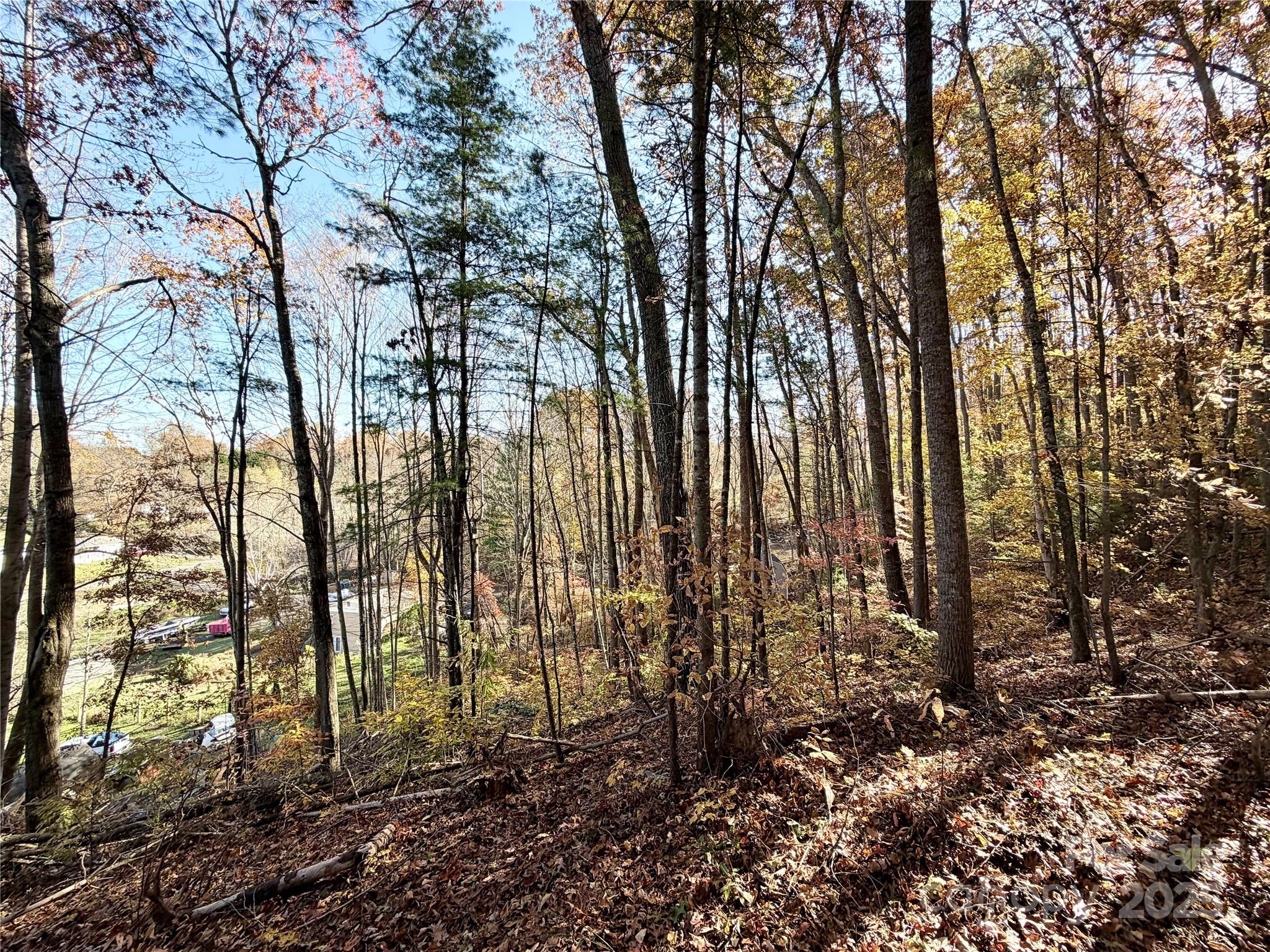 99999 Dix Creek No 1 Road