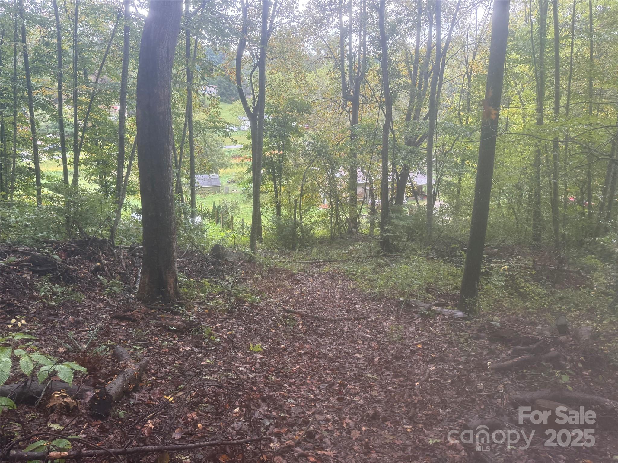 99999 Dix Creek No 1 Road