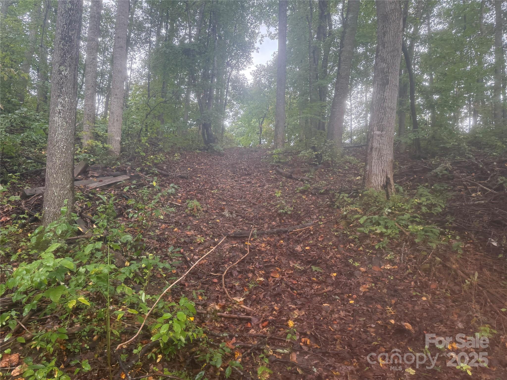 99999 Dix Creek No 1 Road