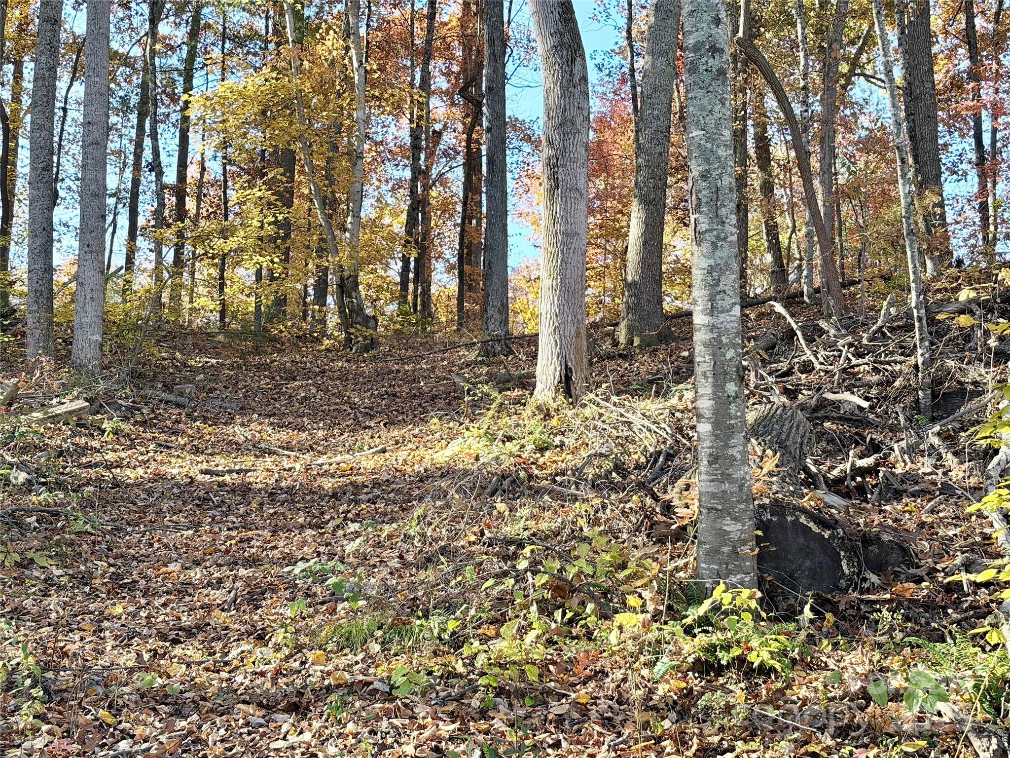 99999 Dix Creek No 1 Road