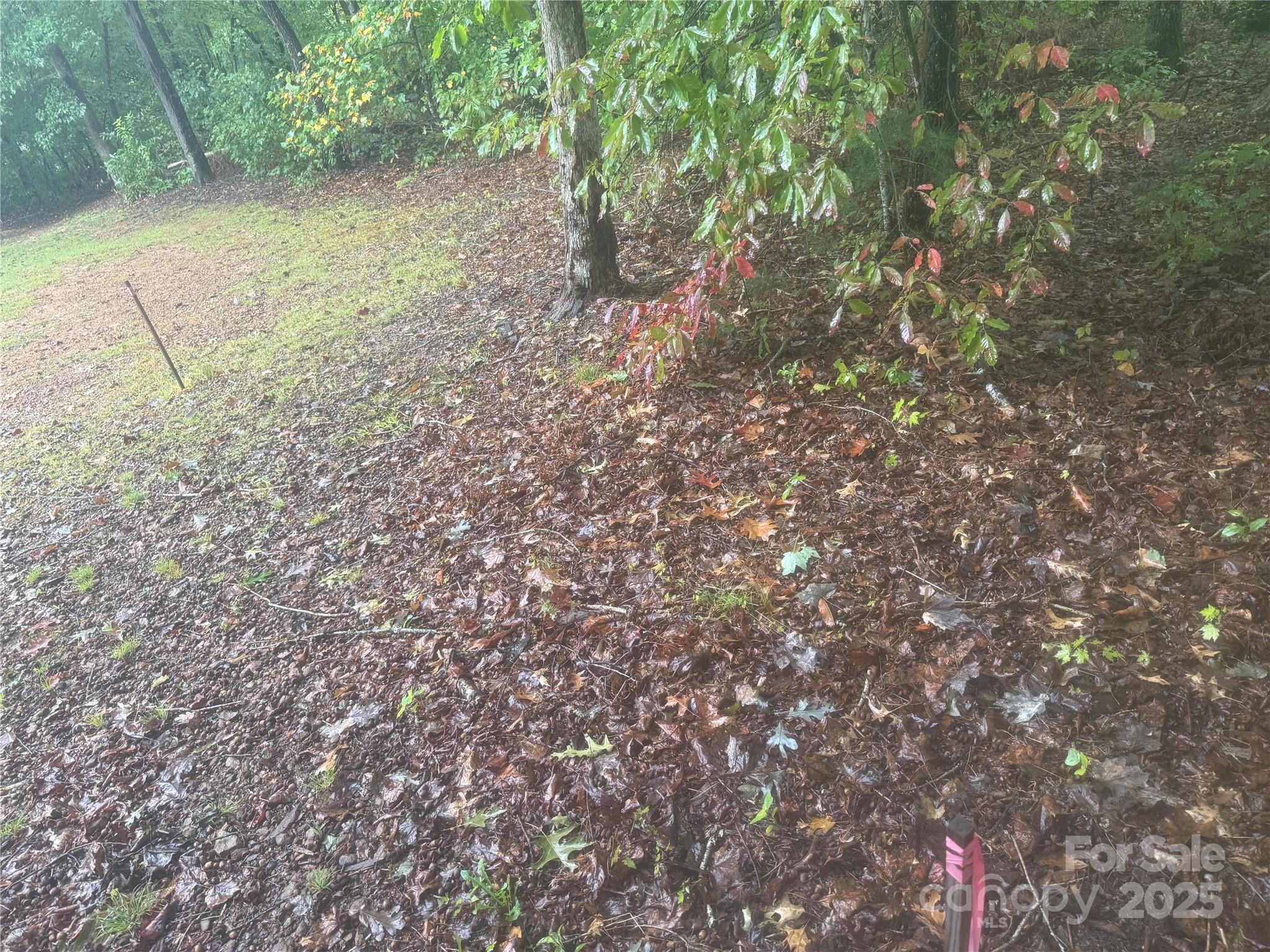 99999 Dix Creek No 1 Road