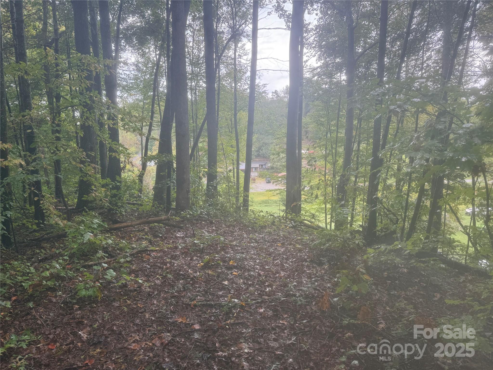 99999 Dix Creek No 1 Road