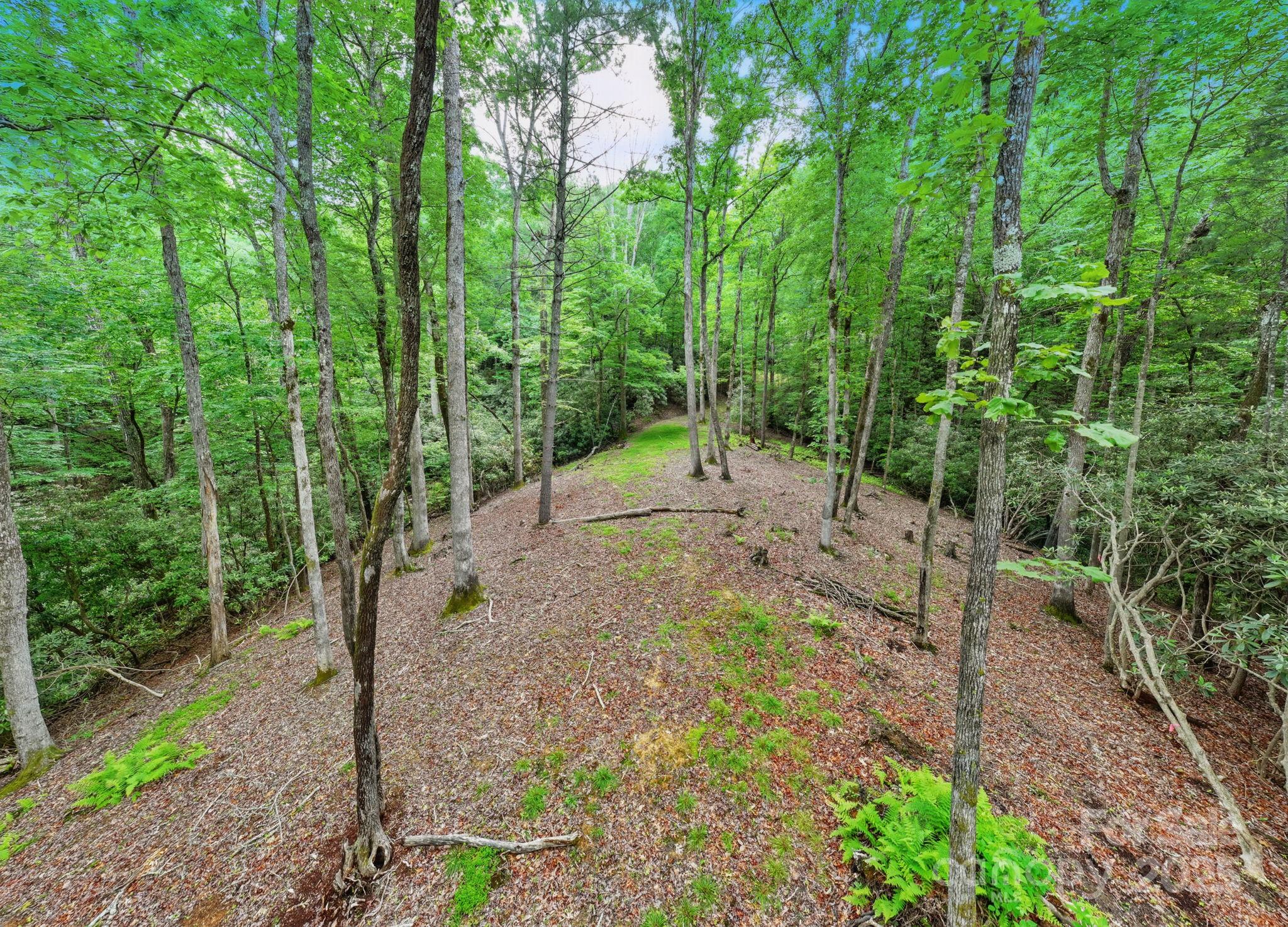 Glen Cannon Views - Land