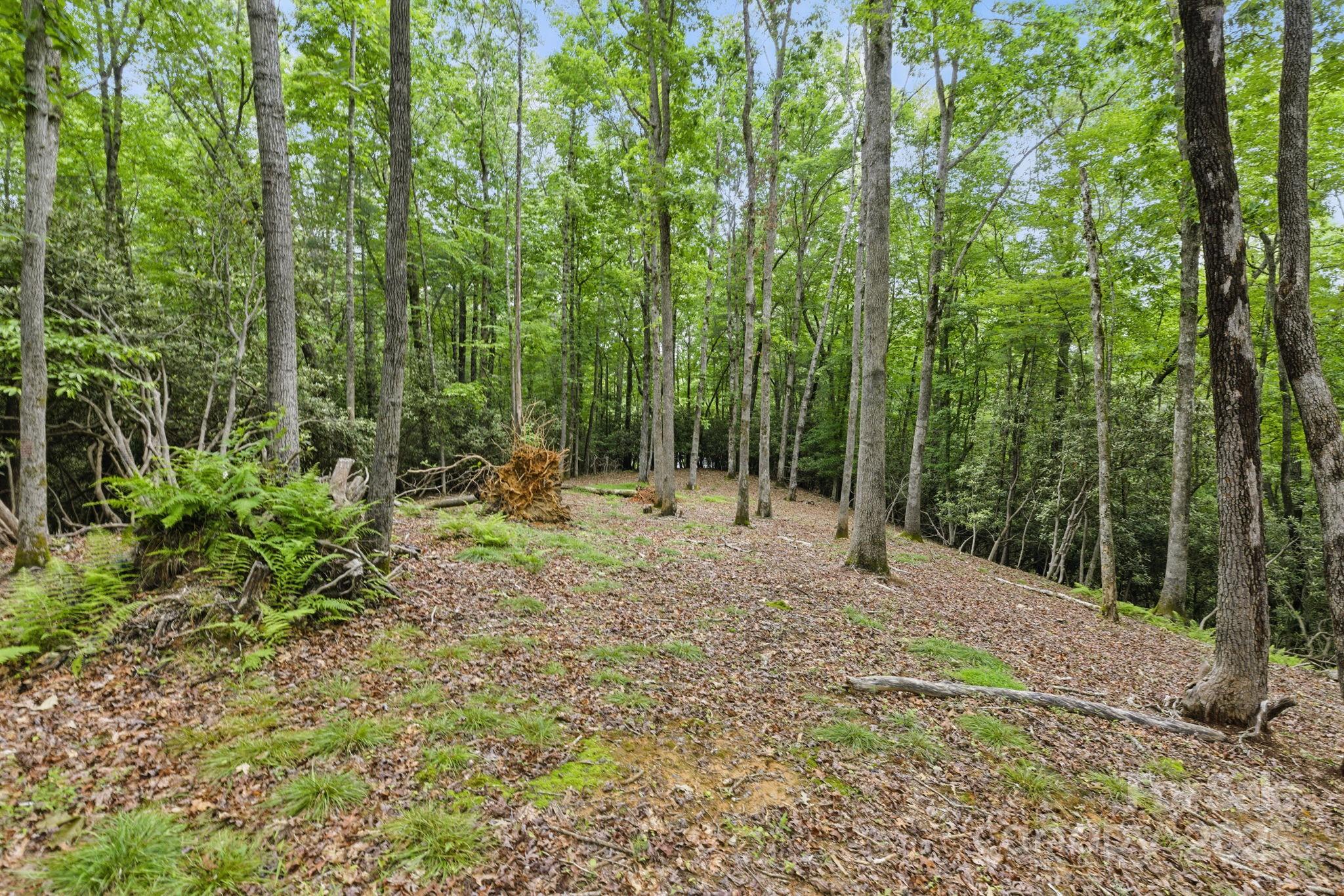 Glen Cannon Views - Land