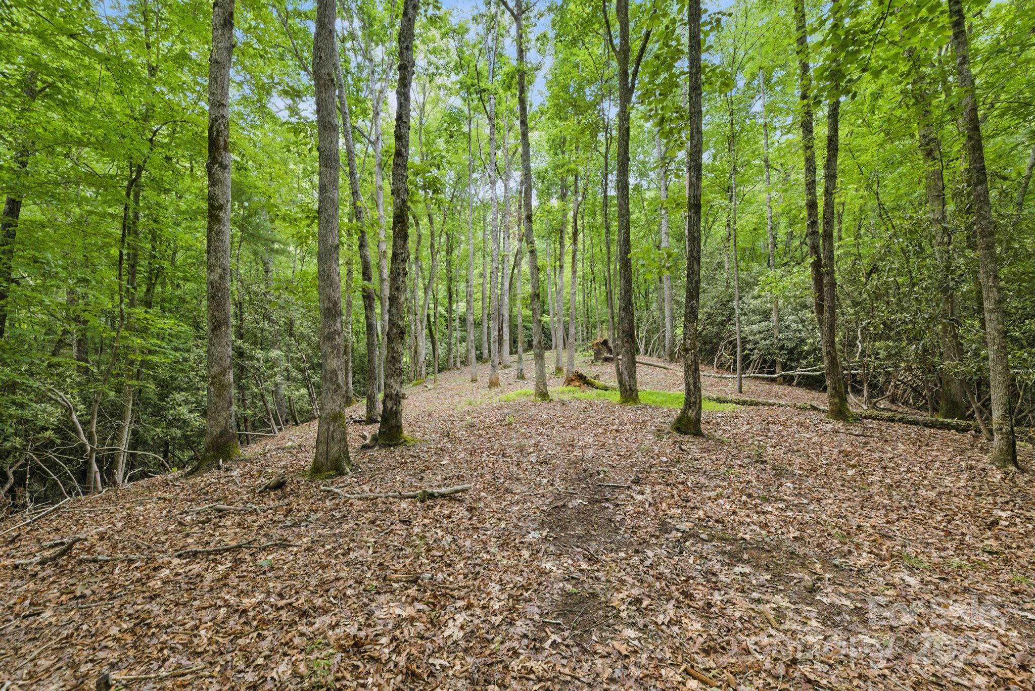 Glen Cannon Views - Land