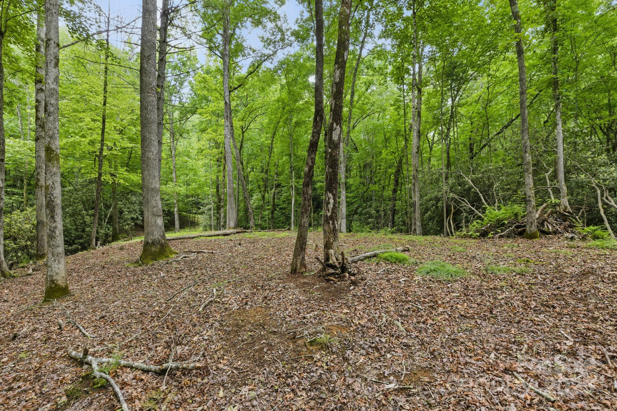 Glen Cannon Views - Land