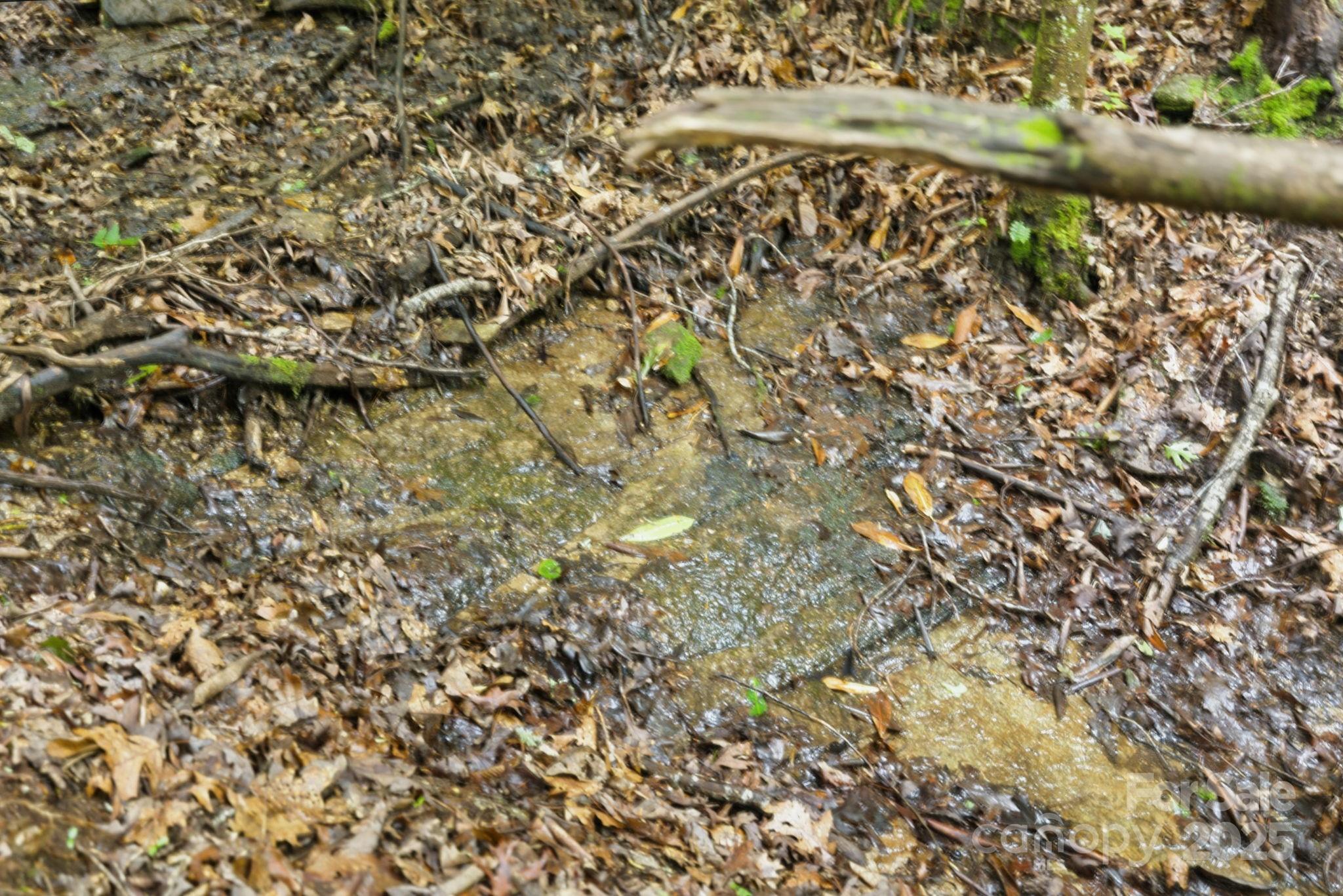 Glen Cannon Views - Land