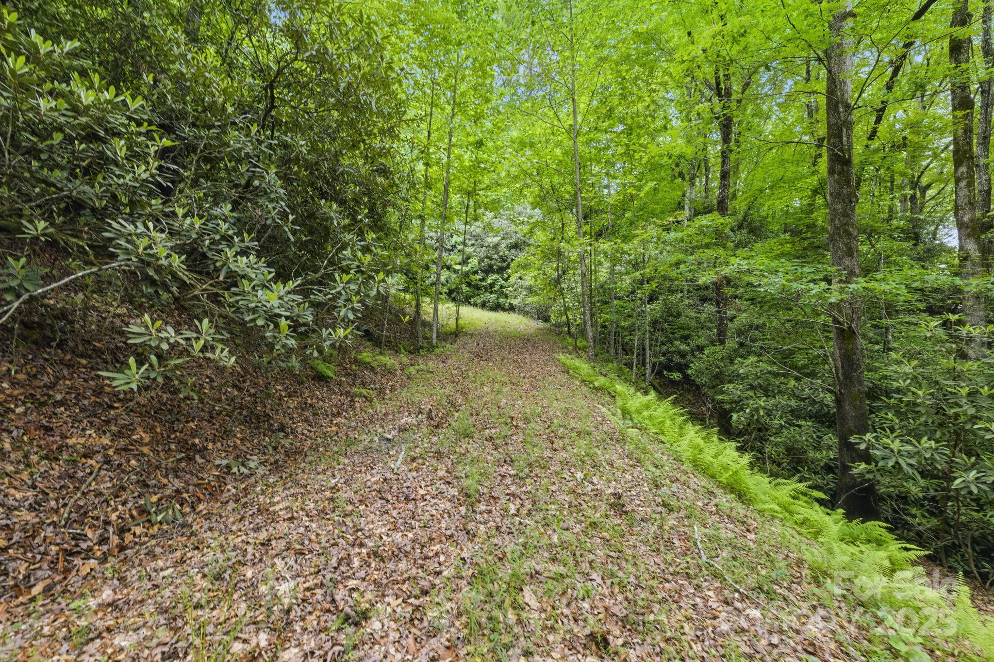 Glen Cannon Views - Land