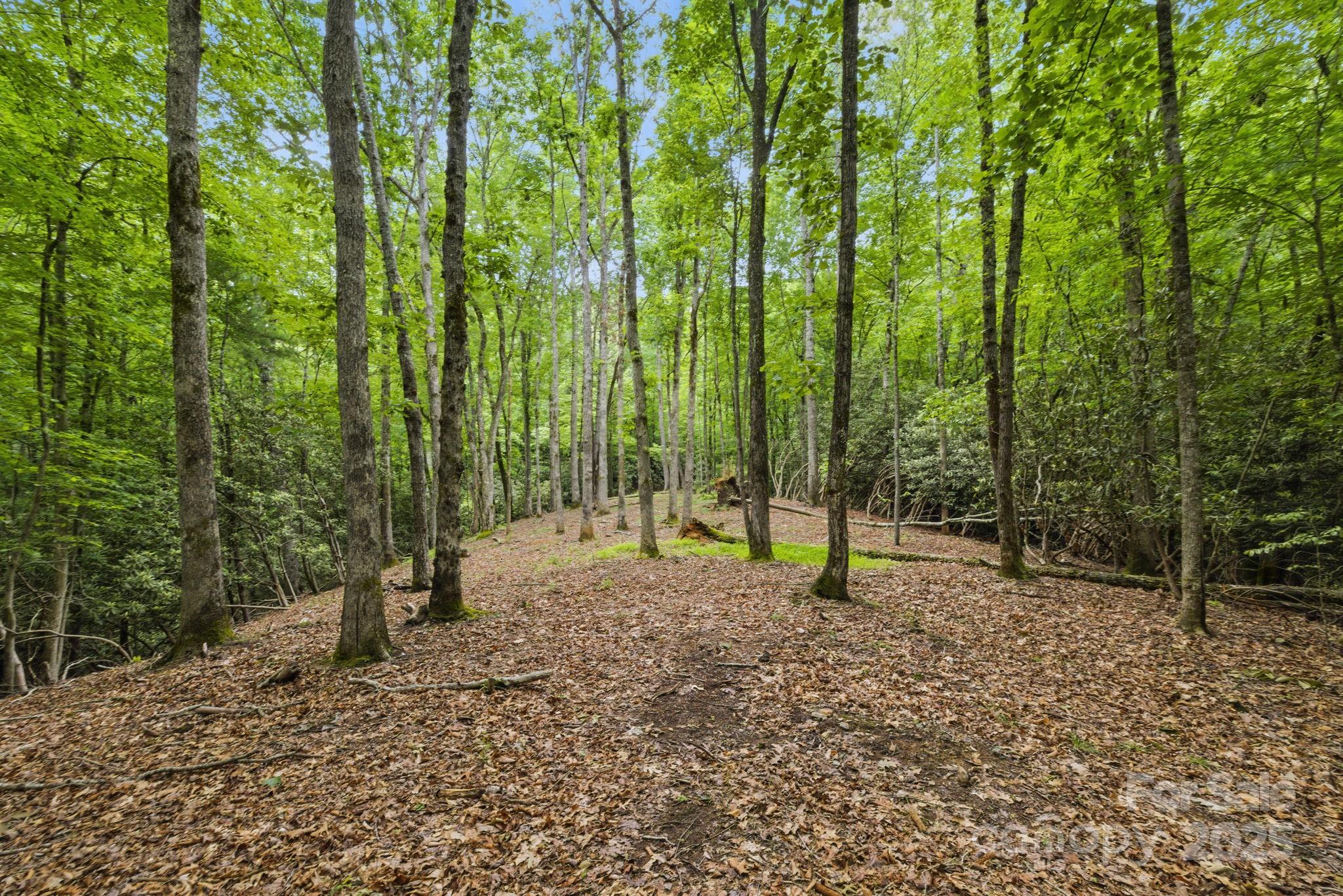 Glen Cannon Views - Land