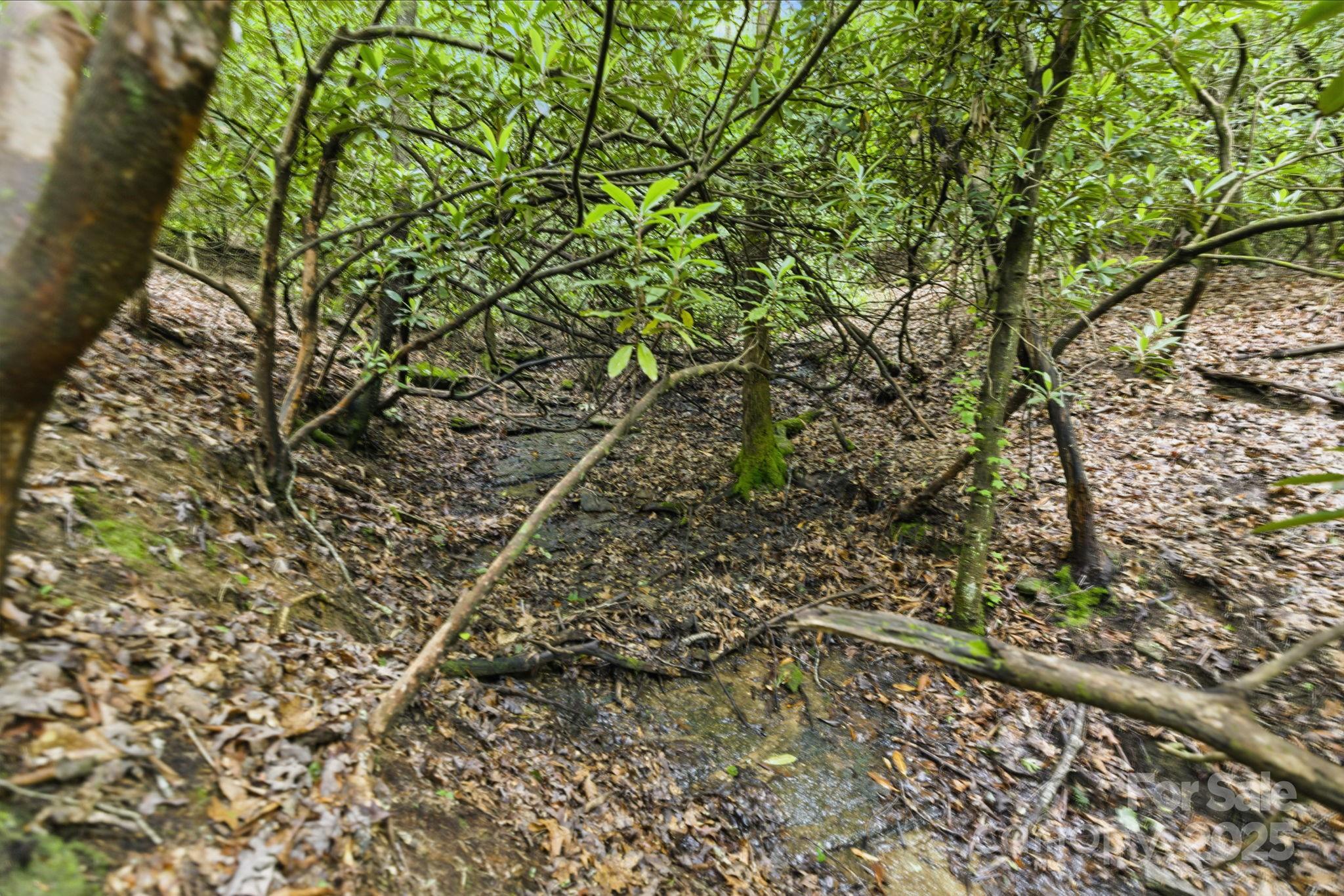 Glen Cannon Views - Land