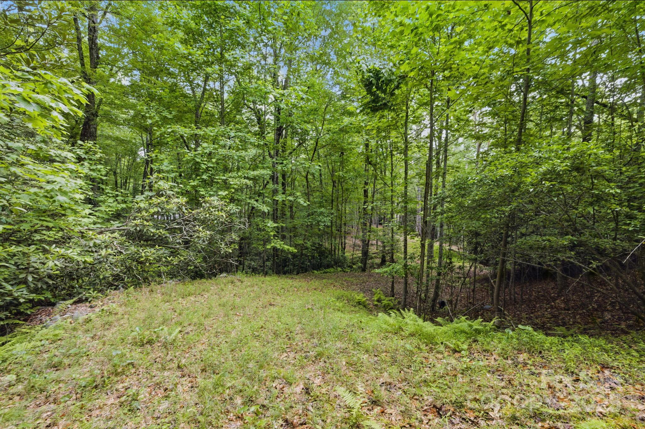 Glen Cannon Views - Land