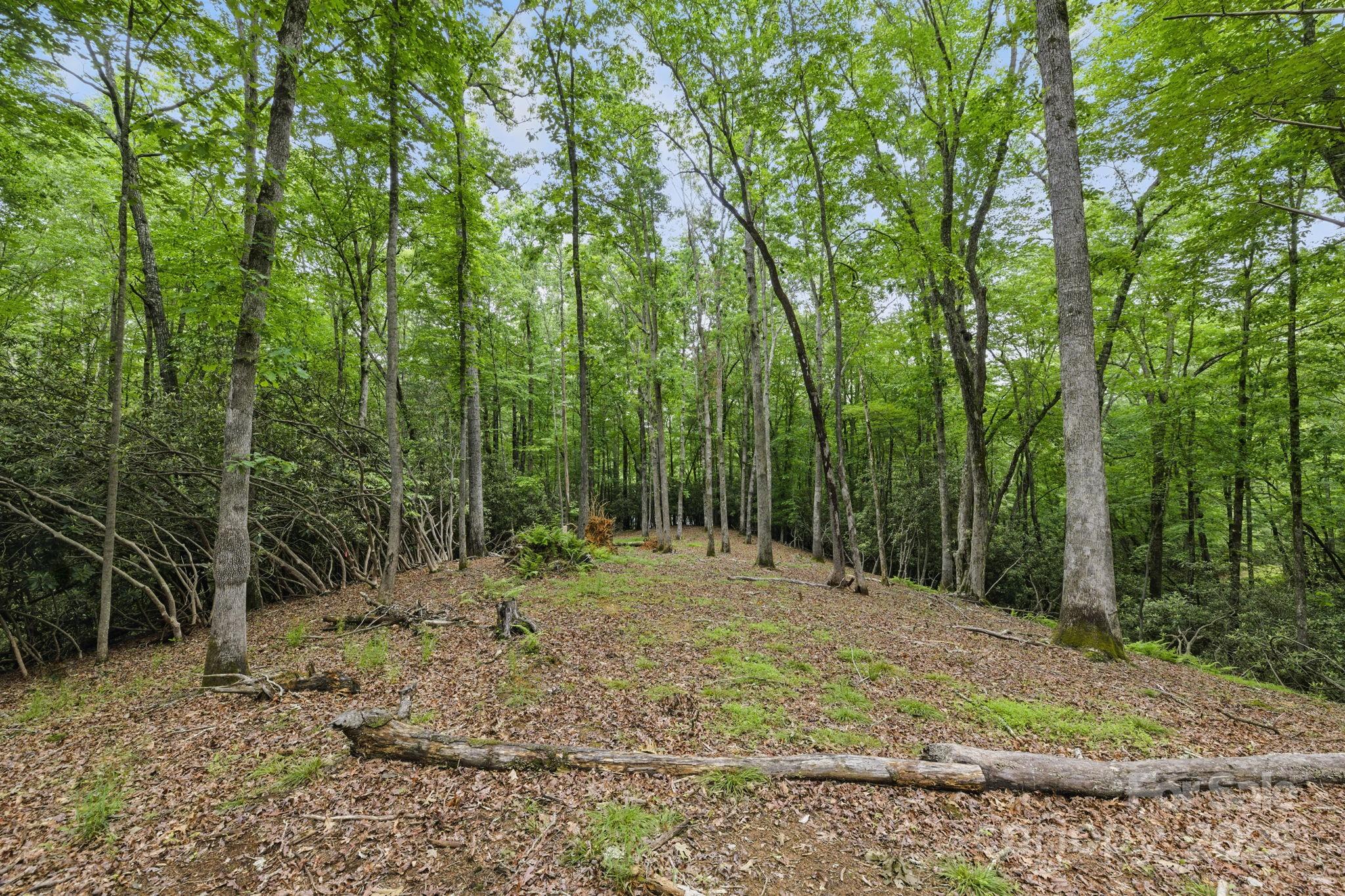 Glen Cannon Views - Land