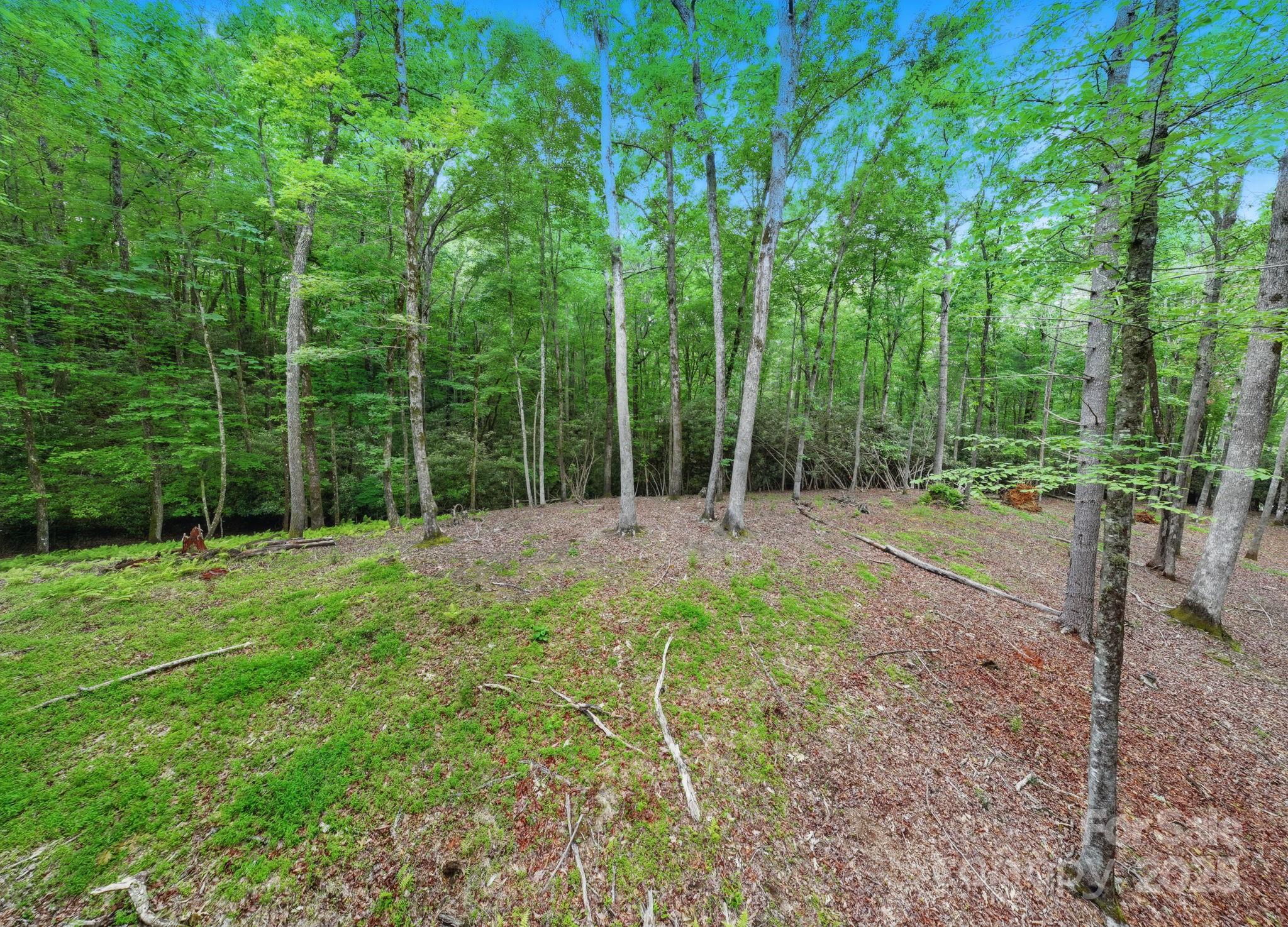 Glen Cannon Views - Land