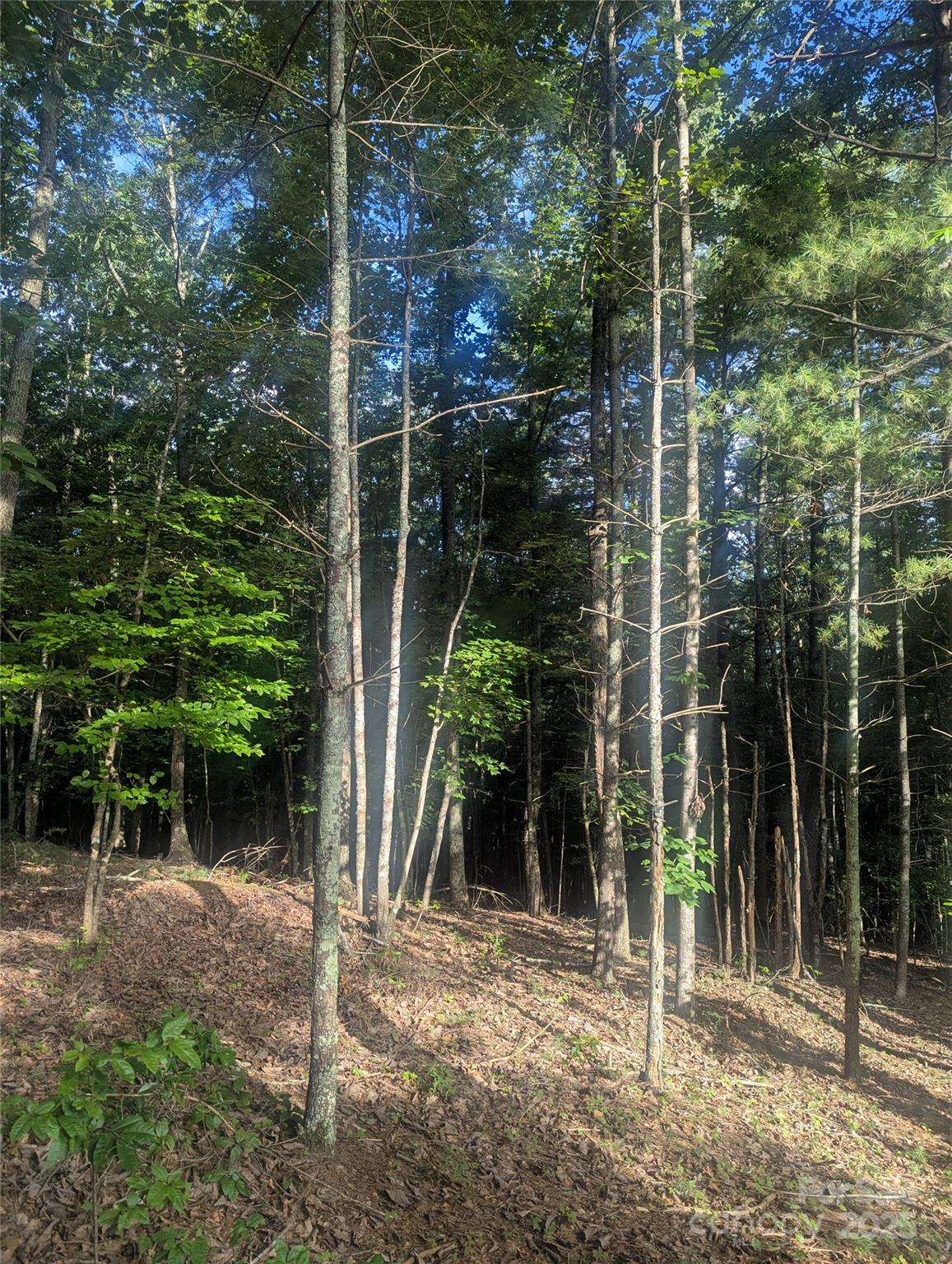 0 Mystery Trail Lane