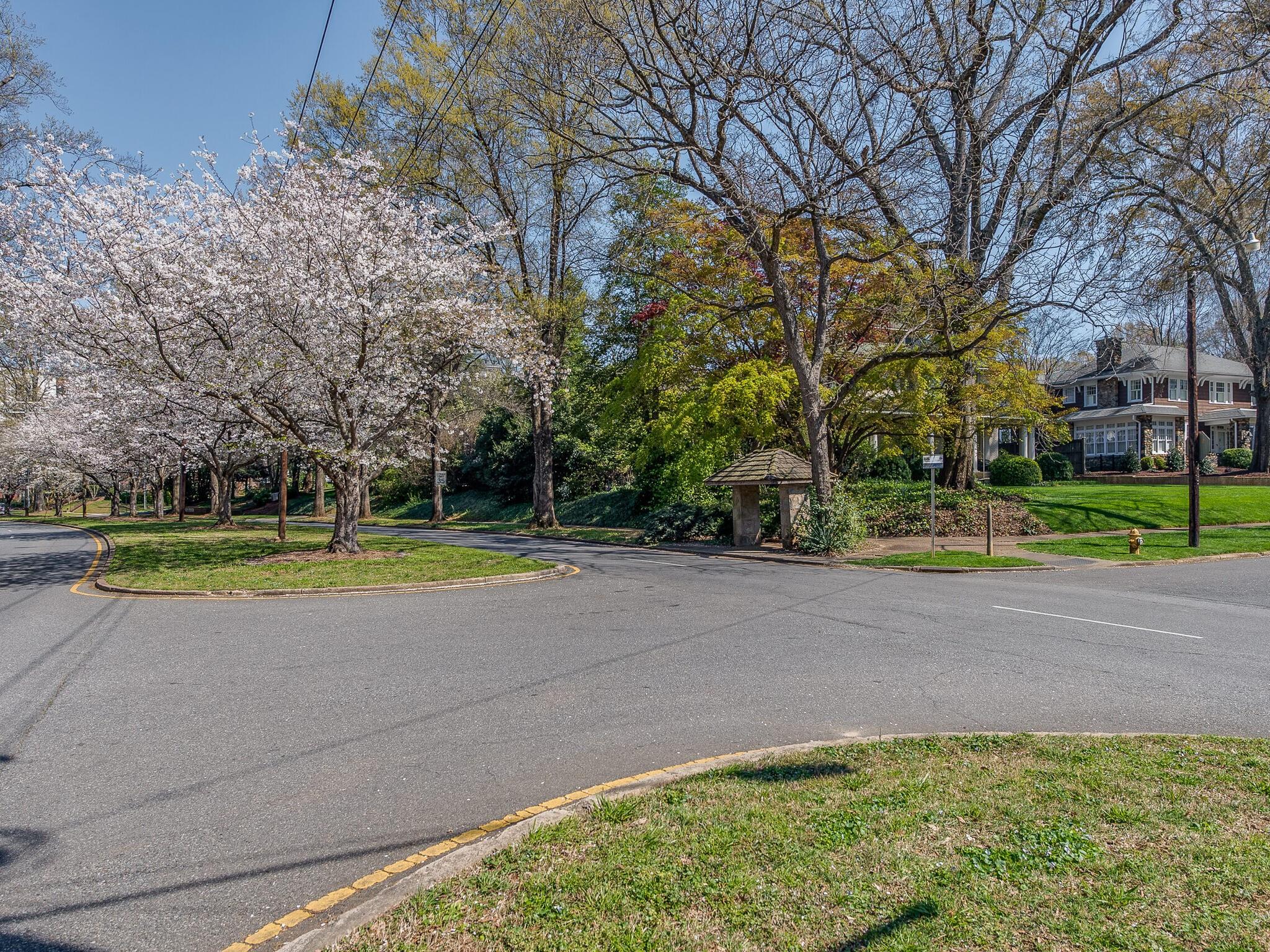 Myers Park - Residential