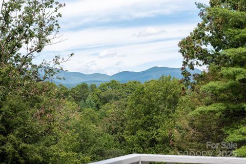 50 Springwood Drive Asheville NC 28805