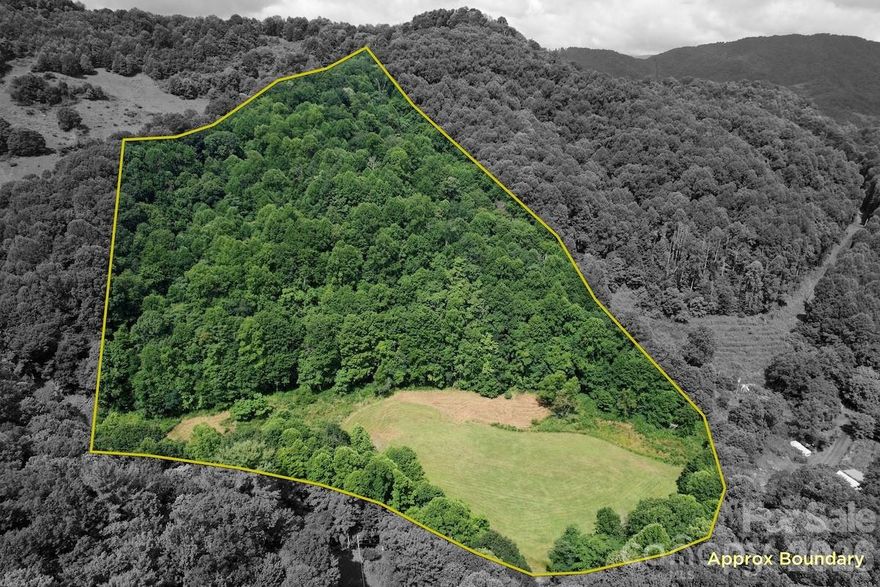 Unrestricted freedom meets abundant natural water on this exceptional 14+ acre surveyed mountain tract. Offering the rare "blank canvas" you’ve been searching for, this private homestead property features a bold year-round creek and several natural springs flowing through a perfect blend of lush pasture and mountain woodland. With no restrictive covenants and no HOA to limit your vision, this land is ready for a custom home, a thriving hobby farm, or a secluded high-tech retreat.

The property is fully fenced and move-in ready for livestock or weekend getaways, including approximately 3.75 acres of flat, open meadow and a functional 2-stall run-in shed previously used for horses. Skip the typical utility headaches with an on-site power meter already installed, featuring dedicated hookups for an RV or camper; ideal for living on-site while you build your dream home. High-speed fiber optic internet is also available at the road, ensuring seamless connectivity even in this serene, remote setting.

Access with privacy is a major highlight, as the property is situated near the end of a quiet, state-maintained gravel road and absolutely no private road maintenance fees. From a private equestrian estate to a sustainable organic farm, this land is equipped to handle your ambitions from day one. Seize the chance to live harmoniously with nature and create your own legacy on this exceptional piece of land. Please do not enter the property without a scheduled appointment.