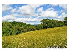 Cane Creek Preserve - Land