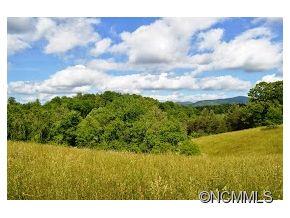 Cane Creek Preserve - Land