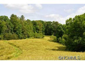 Cane Creek Preserve - Land