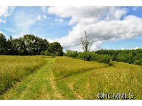 Cane Creek Preserve - Land