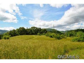 Cane Creek Preserve - Land