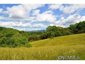 Cane Creek Preserve - Land
