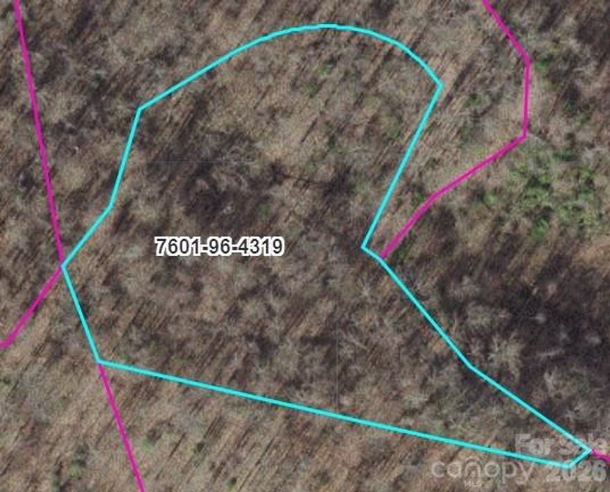 Beautiful 2+ acre tract located on Barkers Creek Road in the heart of Whittier, NC. This gently rolling property offers a peaceful mountain setting with a mix of privacy and accessibility. Ideal for a primary residence, mountain retreat, or investment opportunity, the land provides ample space for building while still enjoying the natural surroundings of Western North Carolina. Conveniently located near outdoor recreation, including hiking, fishing, and rafting, and just a short drive to Bryson City, Sylva, and the Great Smoky Mountains National Park. A wonderful opportunity to own acreage in a desirable mountain community. Can be sold together with the following MLS# 4339905 & 4339915