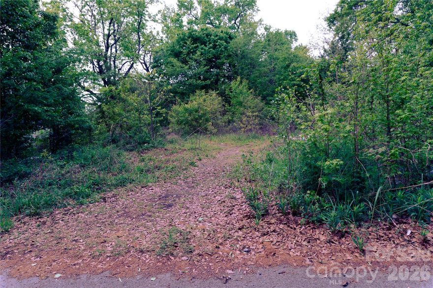 0.34 acre residential lot located in Rock Hill with RC-11 Zoning, offering great potential for a custom build. Property is partially cleared and buildable. Septic tank will be required. Lot does need clean up and some work. 
Buyer and Buyer's agent to verify zoning , Utilities and any restrictions.