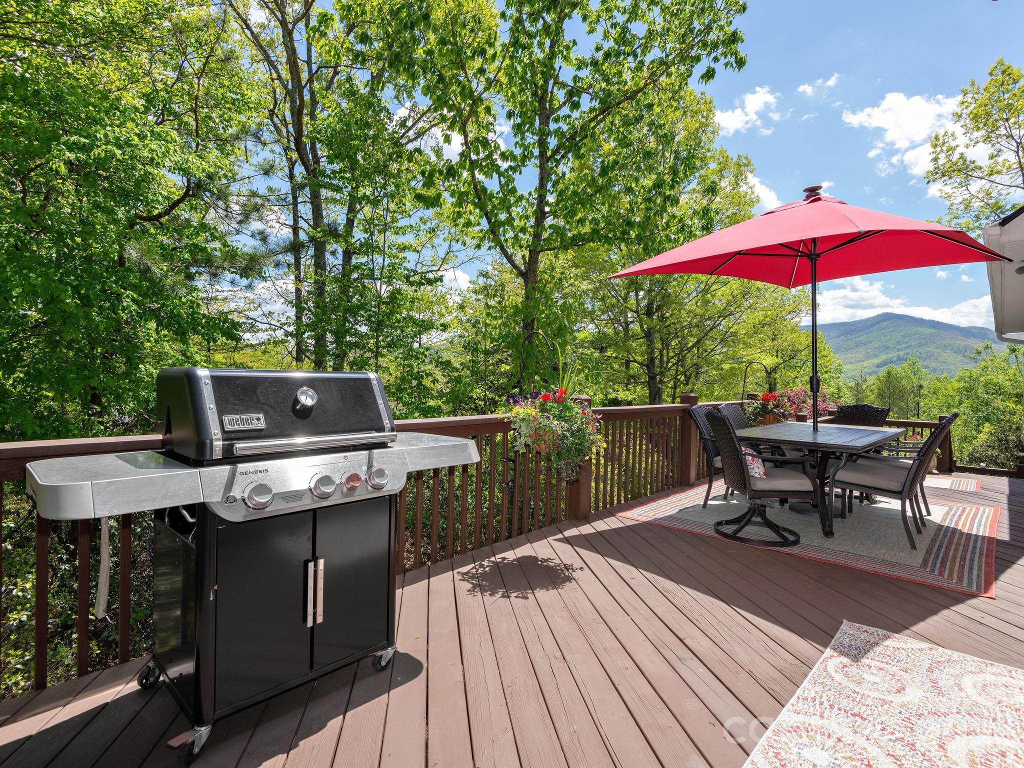 Allen Mountain Ridge - Residential