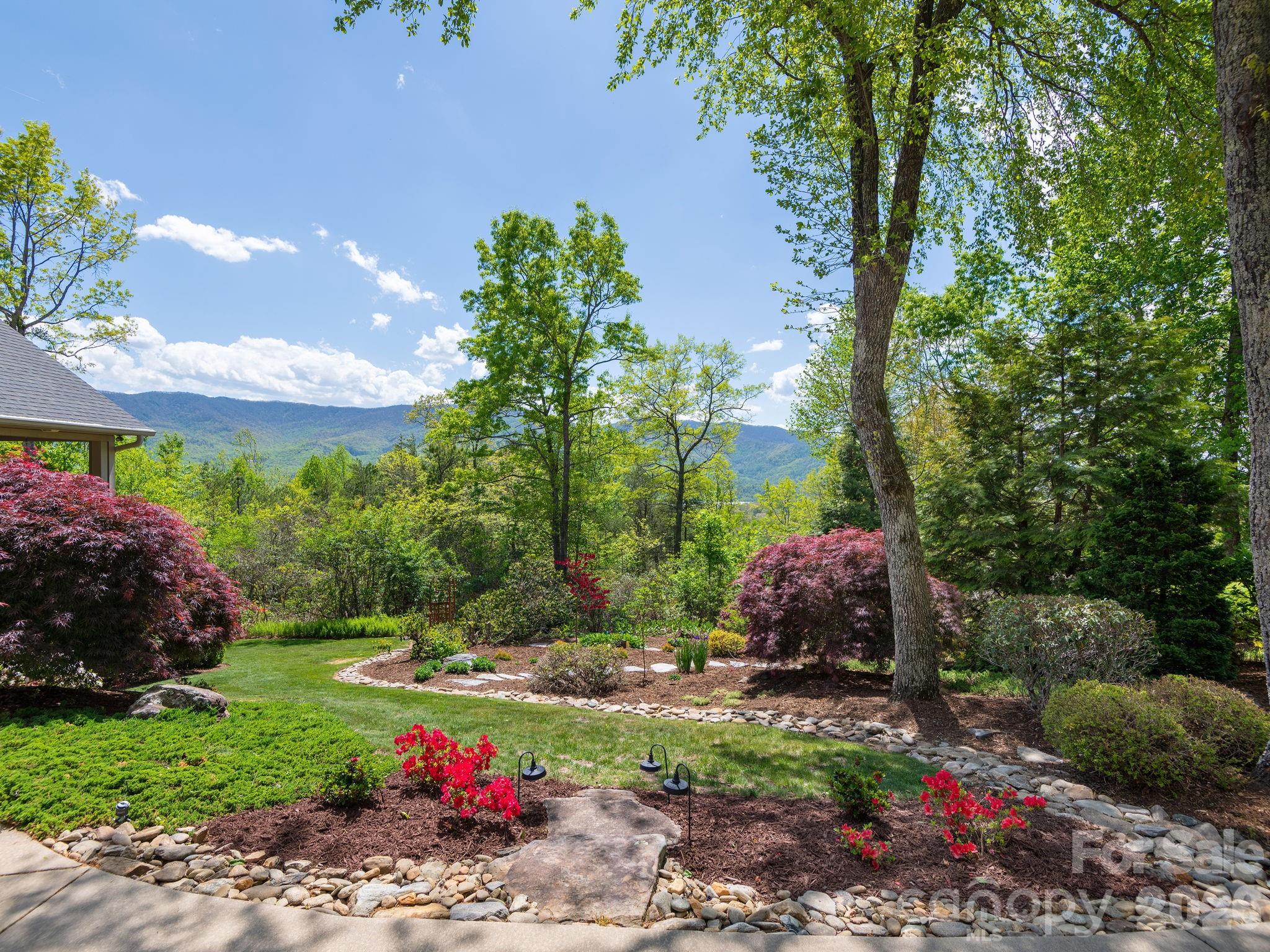 Allen Mountain Ridge - Residential