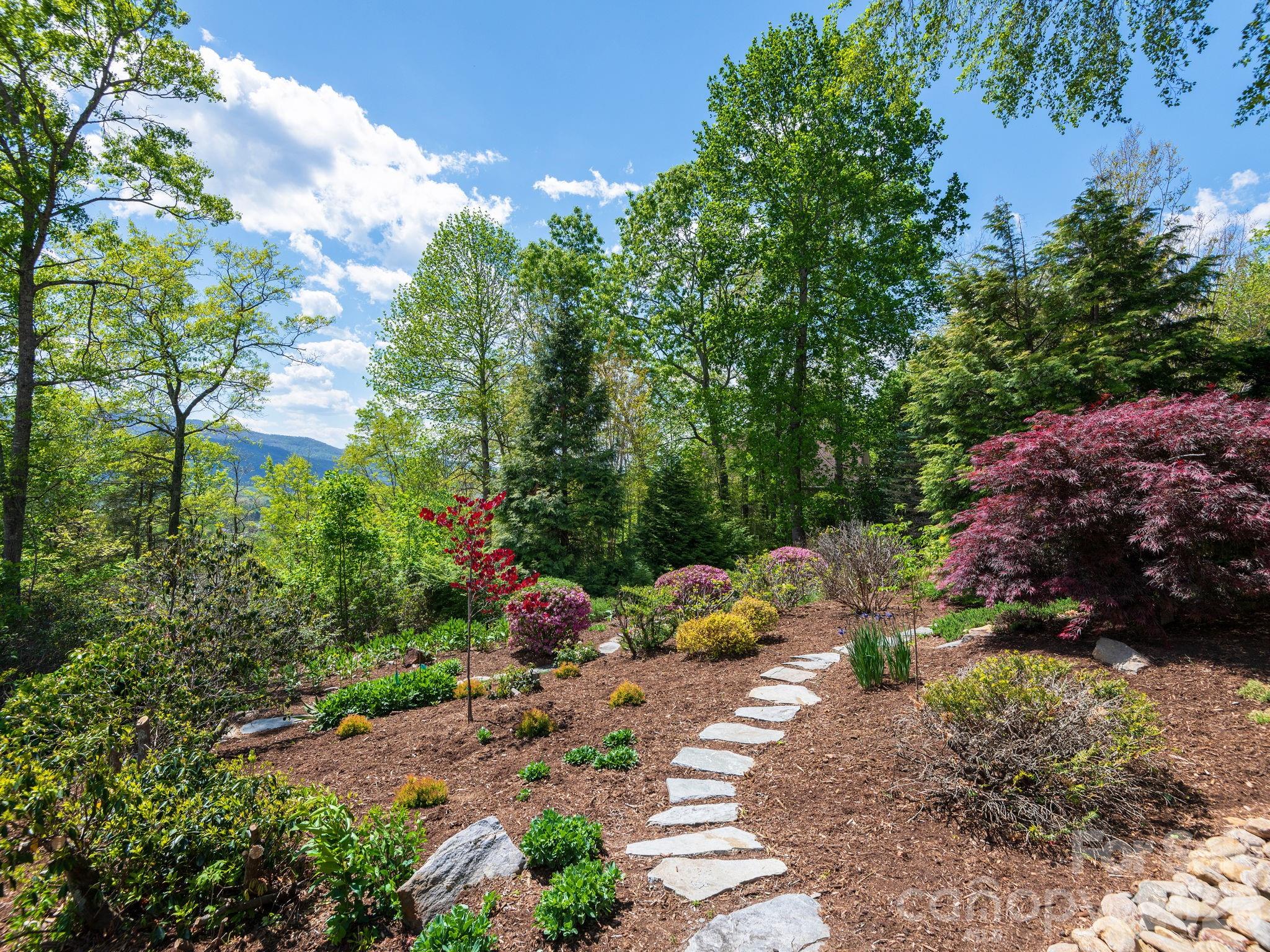 Allen Mountain Ridge - Residential