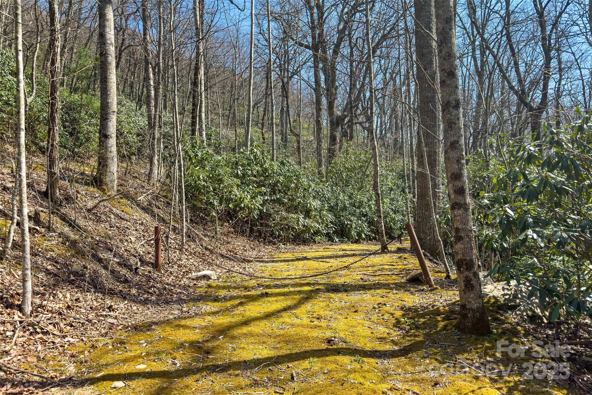30 Red Oak Forest Road
