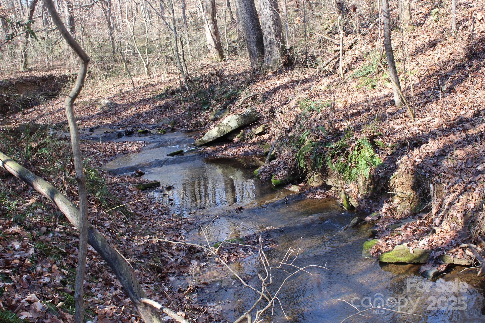 338 Piney Grove Road