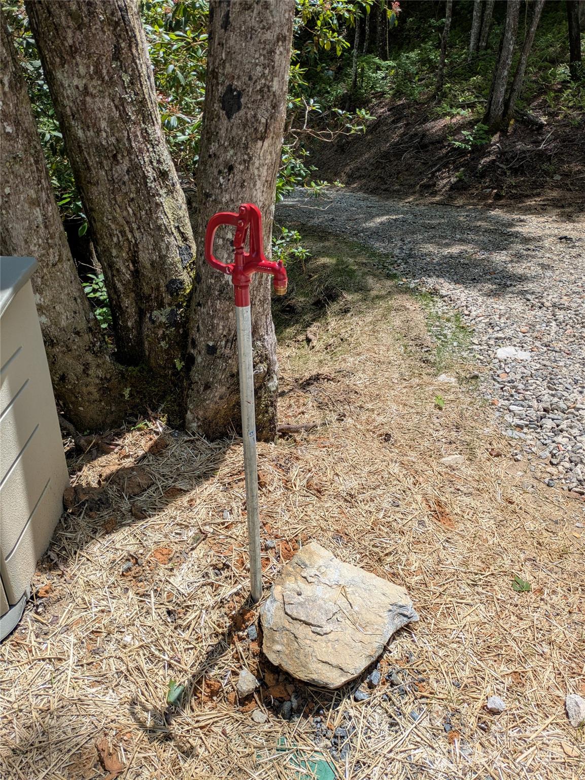 313 Line Runner Ridge Road