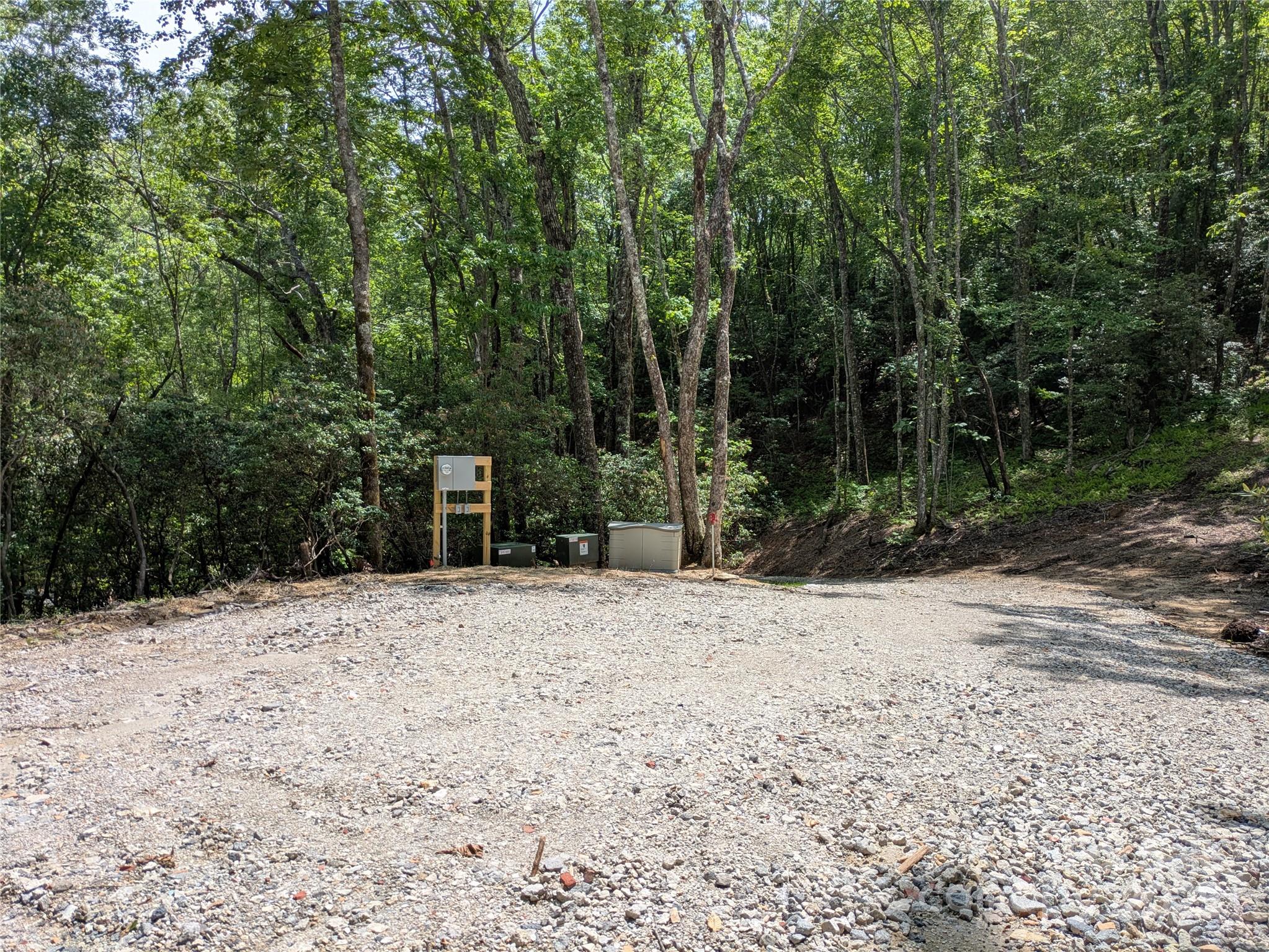 313 Line Runner Ridge Road