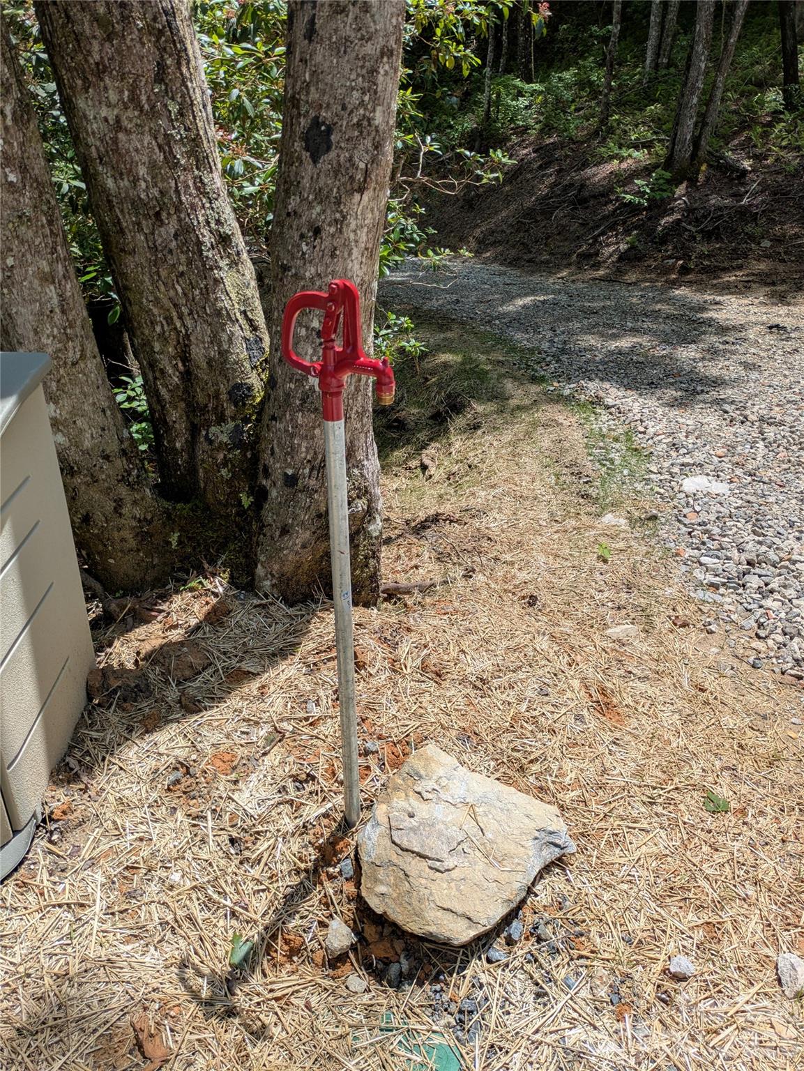 313 Line Runner Ridge Road