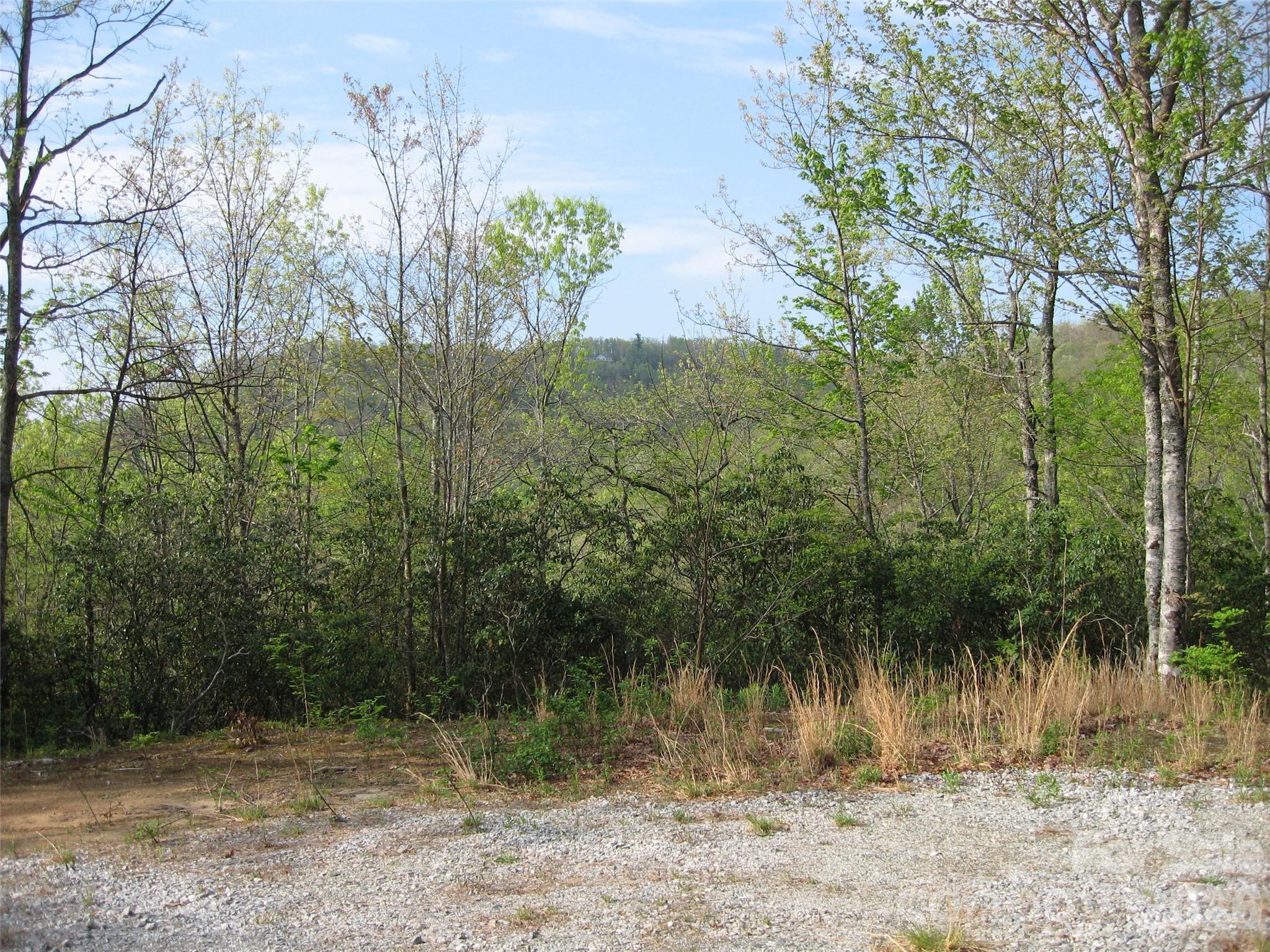 313 Line Runner Ridge Road
