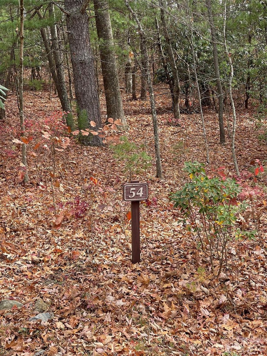 Very nice building site in Pinnacle Falls, a private gated community where over half the property is preserved and protected as common area to be enjoyed by all residents. Features clubhouse lodge, pool, hot tub, fitness area, hiking trails, waterfalls, ponds and streams. Underground utilities. Minutes to Downtown Hendersonville.