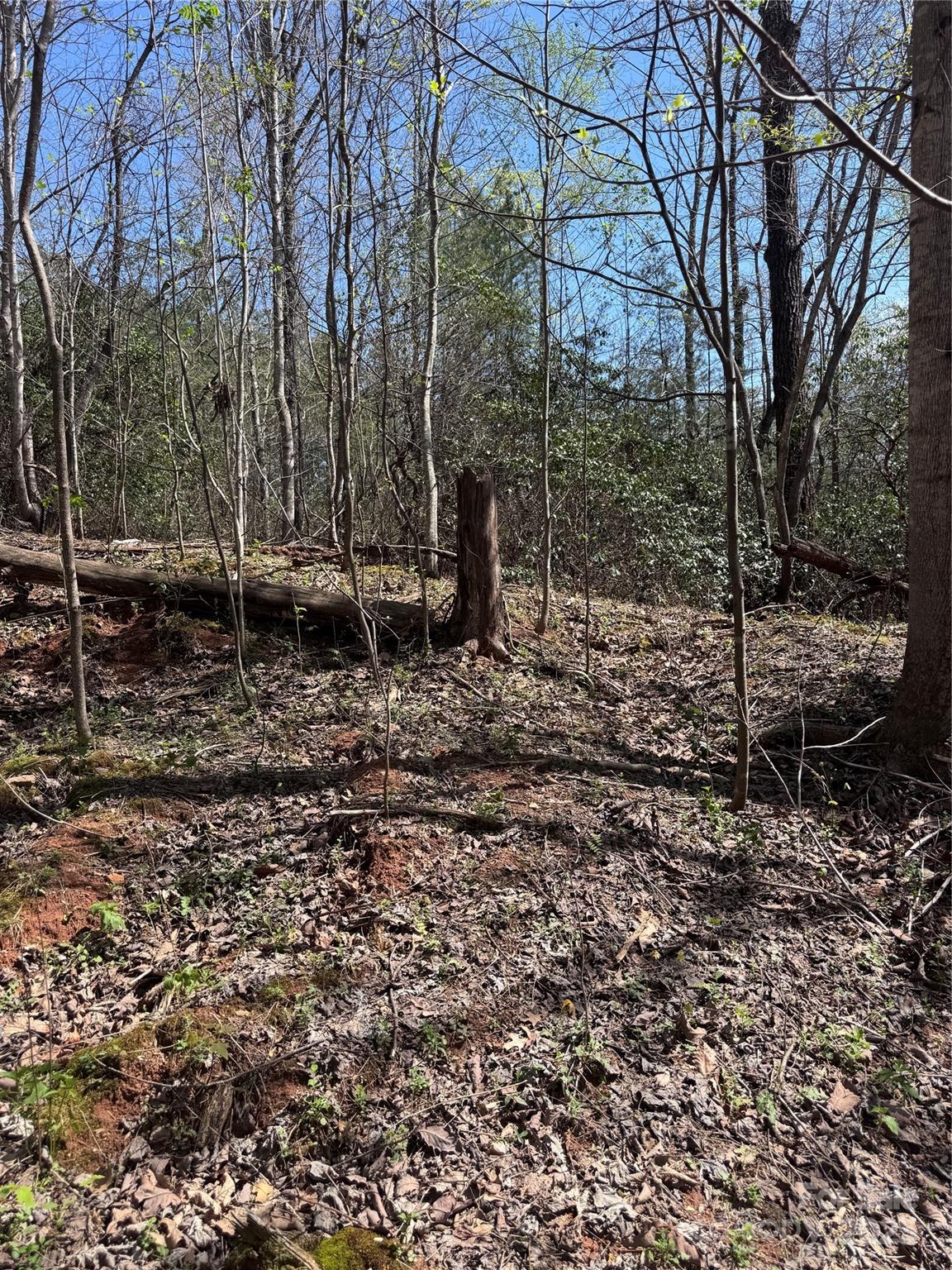 Brookside Forest - Land