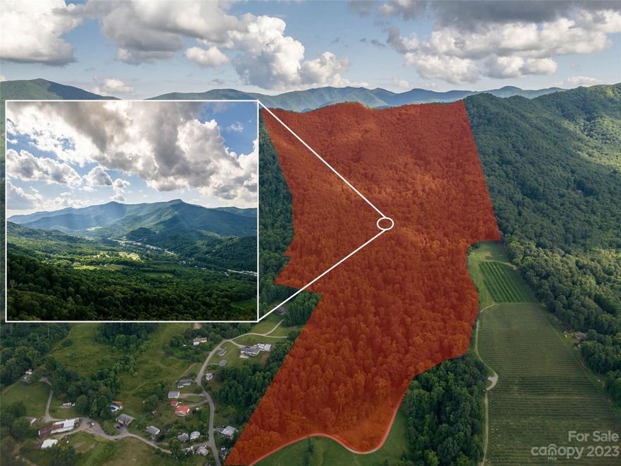 Rare opportunity to own 125 +/- wooded acres close to Waynesville's historic Main St and all the local amenities. This property could be used for a private estate or divided into multiple homesites. Easily accessible off Old Balsam Rd.