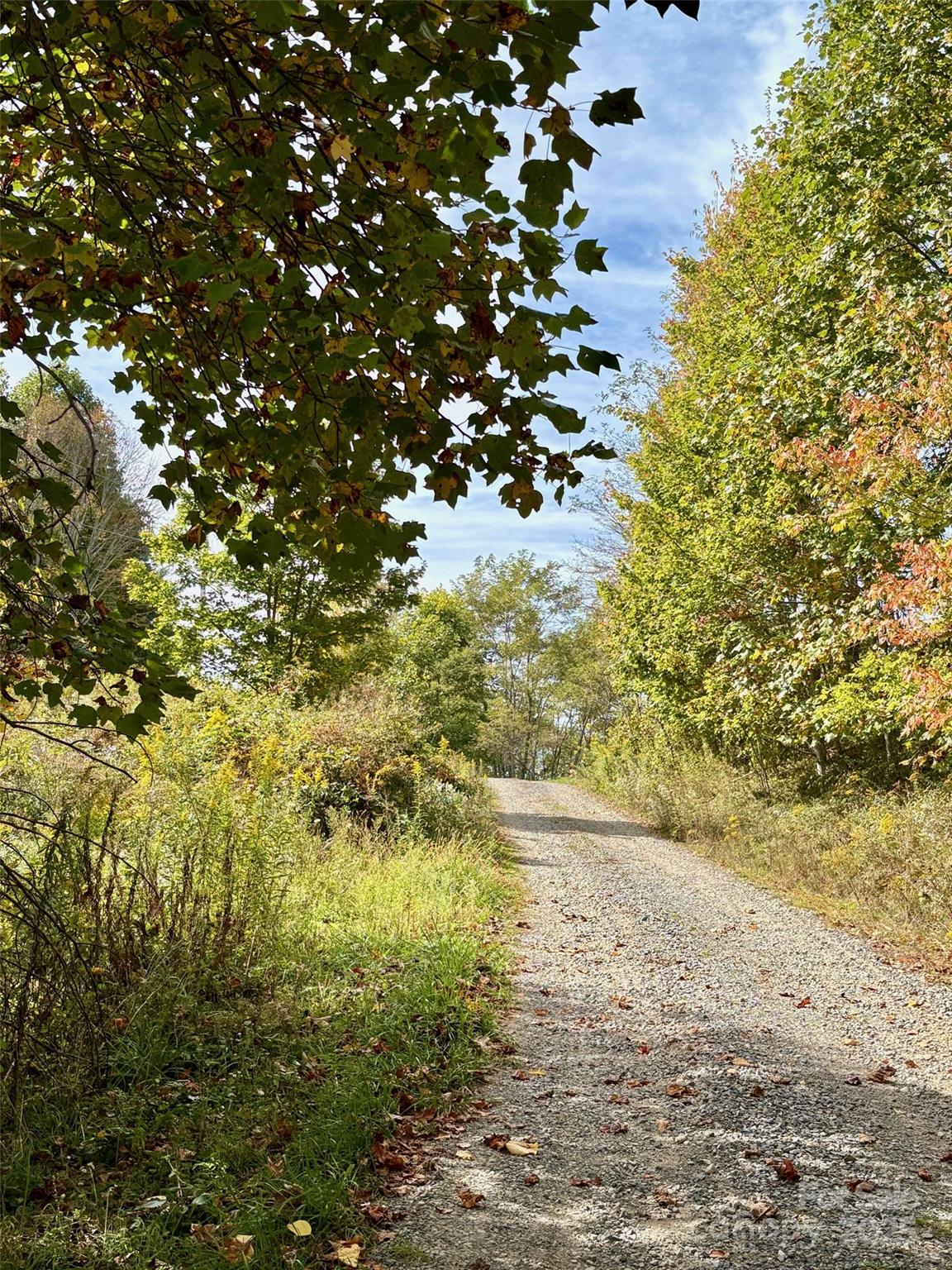 Turkey Trot Farms - Land