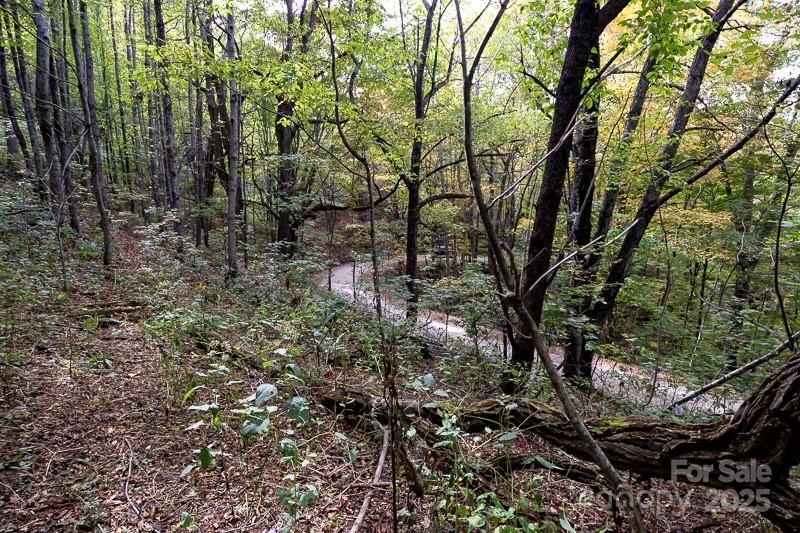 Turkey Trot Farms - Land