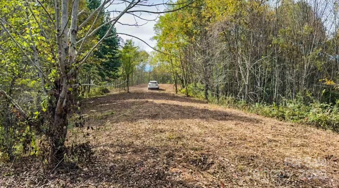 Turkey Trot Farms - Land