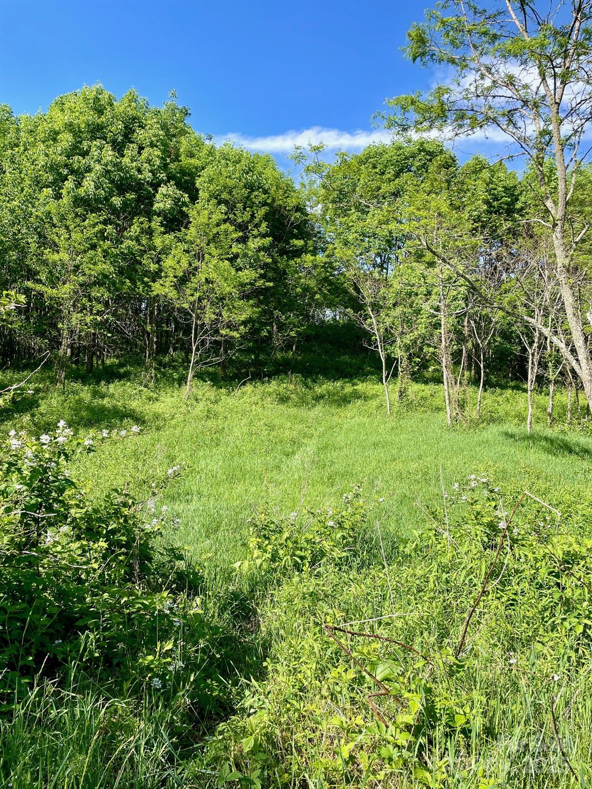 Turkey Trot Farms - Land