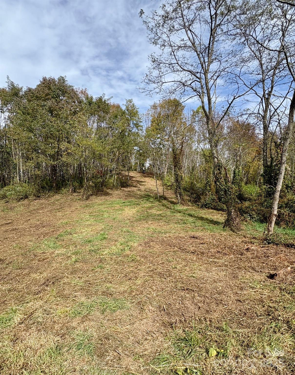 Tract 2 Turkey Trot Road