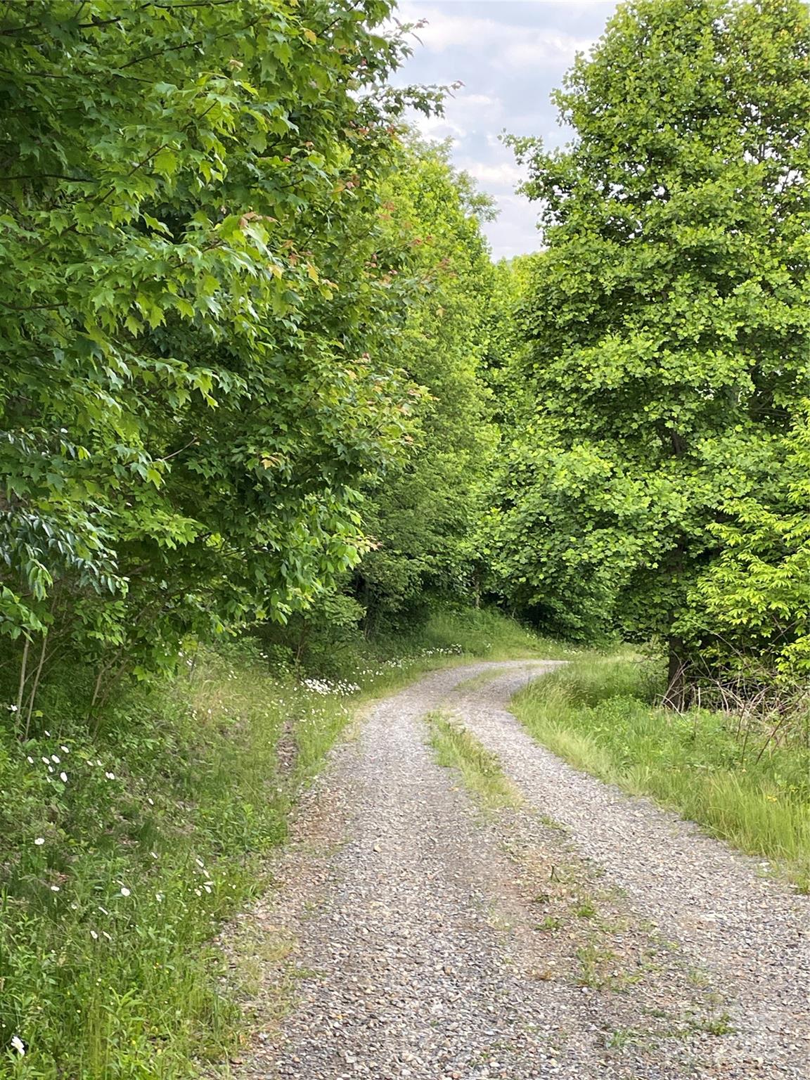 Turkey Trot Farms - Land