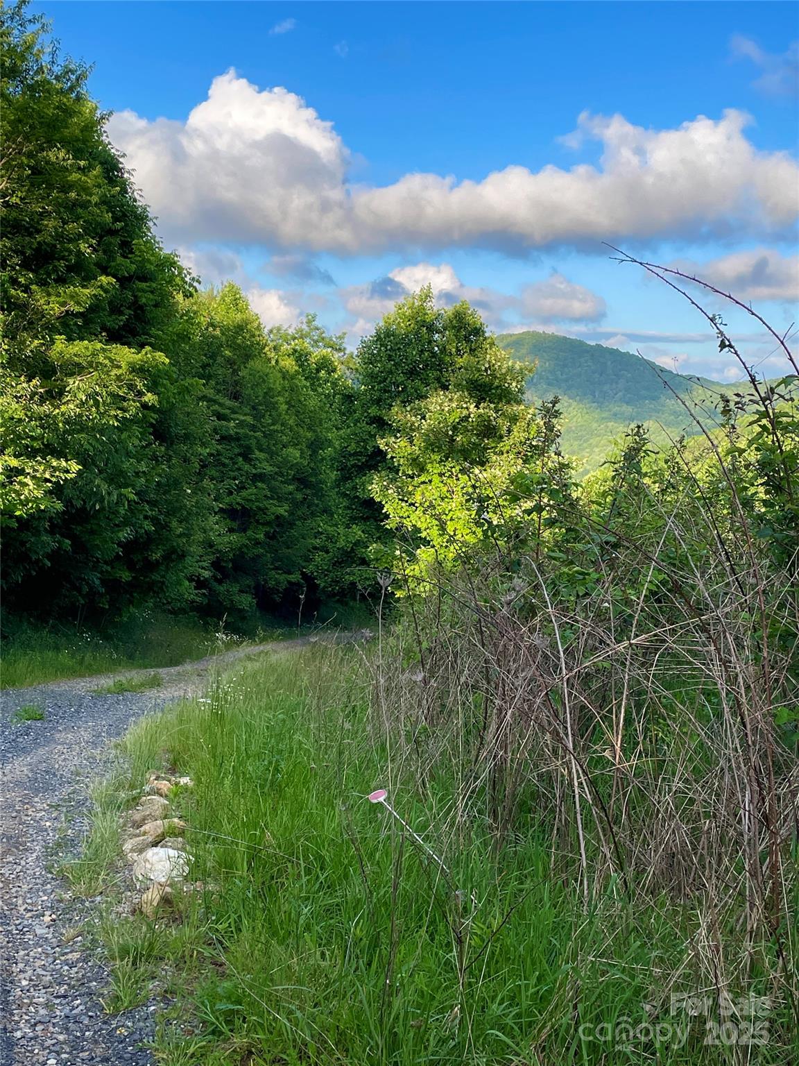 Turkey Trot Farms - Land