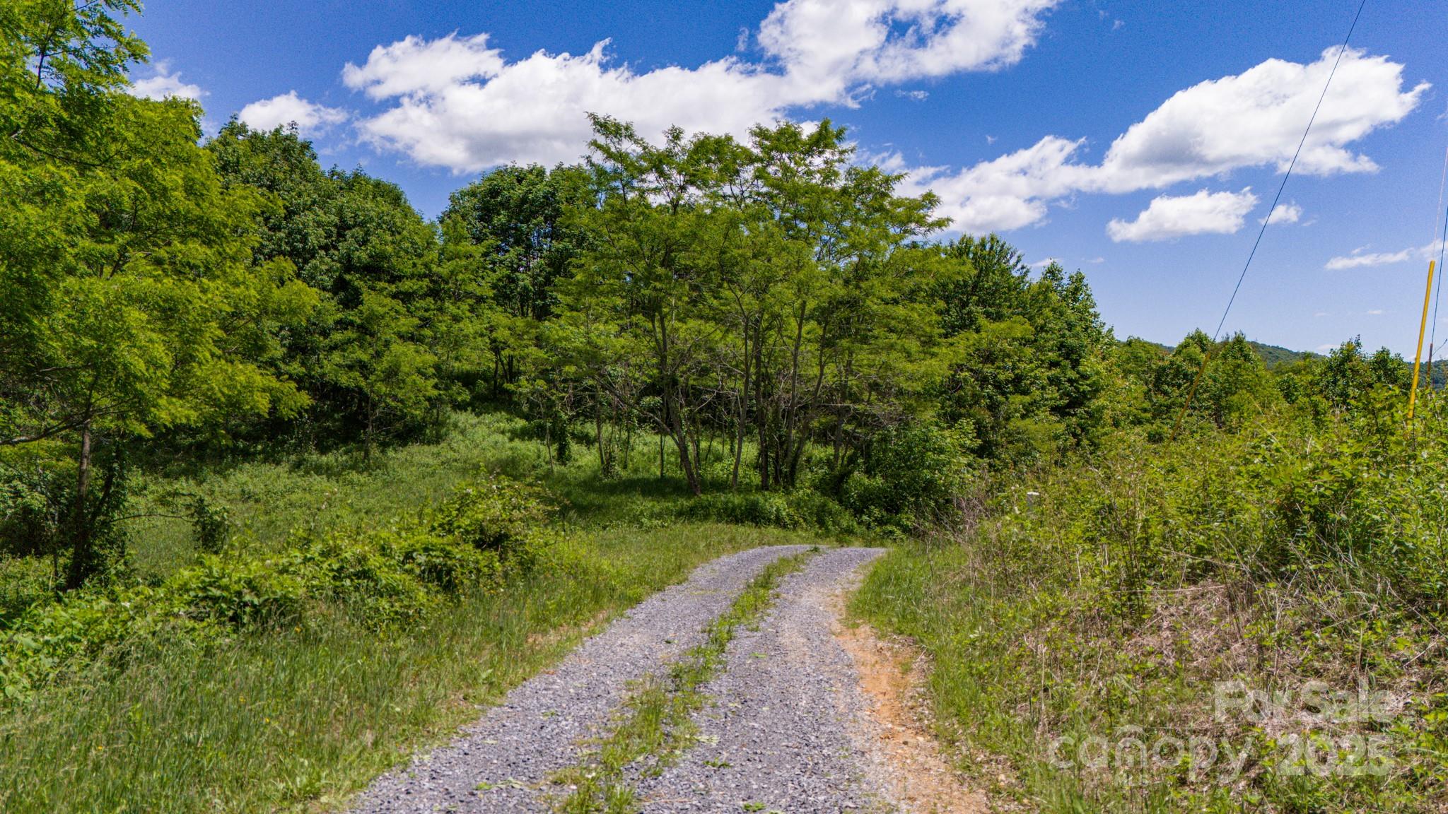 Turkey Trot Farms - Land