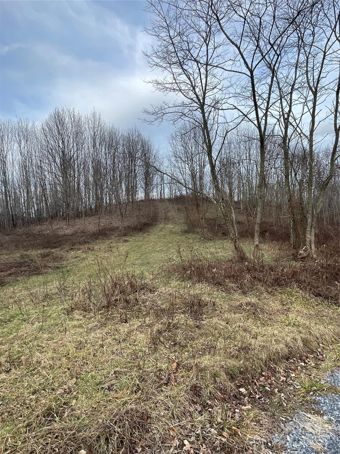 Turkey Trot Farms - Land